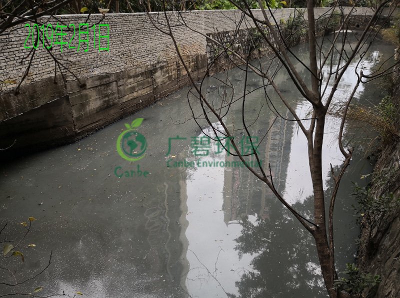 順德灝景灣河湧水質應急處理治理(圖2) 順(shùn)德灝景(jǐng)灣河湧水質應急處(chù)理治理(lǐ)(圖2)