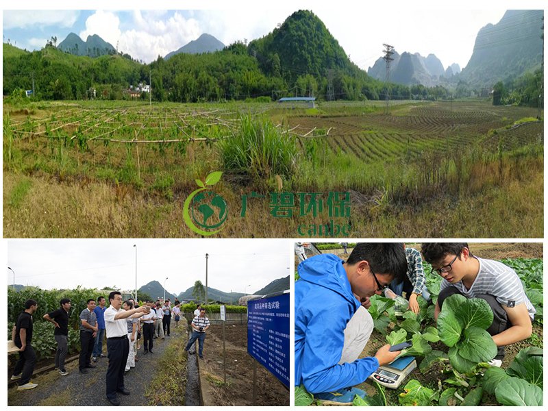 佛(fó)山市(shì)龍江鎮農田重金屬土壤修複項(xiàng)目案例(圖1) 佛山(shān)市龍江鎮農田重金屬(shǔ)土壤(rǎng)修複項目(mù)案例(圖1)