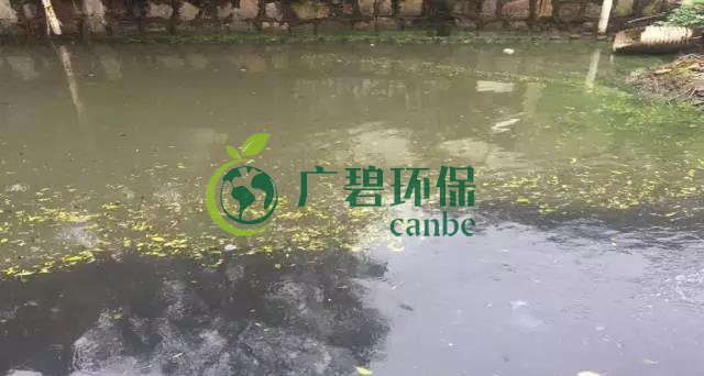 佛山南海黑臭河道生(shēng)物治(zhì)理案例(圖1) 佛山南海黑臭河(hé)道生物治理案例(lì)(圖1)