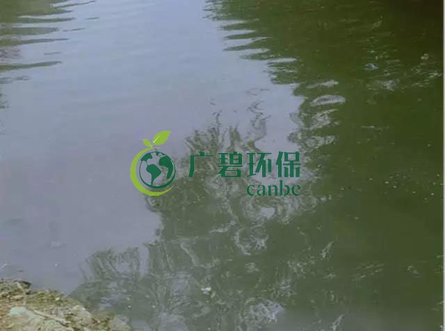 佛山南海(hǎi)黑臭(chòu)河道(dào)生物治理案例(圖3) 佛山(shān)南海黑臭(chòu)河道生(shēng)物治理案例(圖3)
