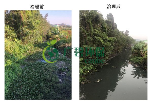 廣碧環保金陡湧河湧黑臭水體 治理（lǐ）服務項目順利通（tōng）過驗收(圖7)