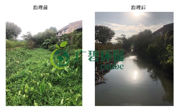廣碧（bì）環保（bǎo）金陡（dǒu）湧河湧黑臭水體 治理服務（wù）項目順利通過驗收(圖（tú）8)