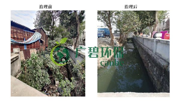 廣碧環保金陡湧河湧黑臭水（shuǐ）體 治理服務項目順利通過驗收(圖1)