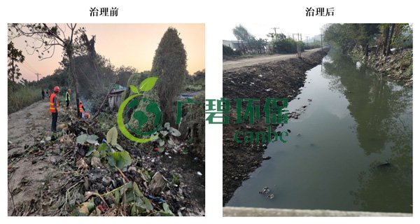 廣碧環保金陡湧河湧黑臭水體 治理（lǐ）服務項目順利通過驗收(圖2)
