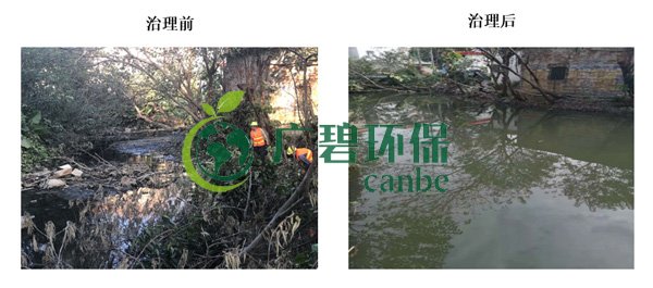廣碧環保（bǎo）金陡湧河湧黑臭水體 治理服務項目（mù）順利通過驗收（shōu）(圖（tú）3)