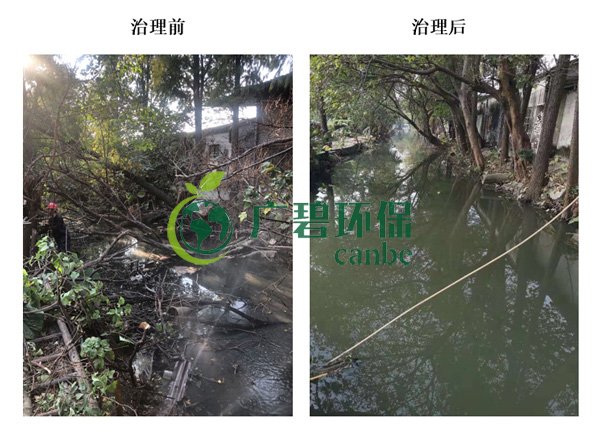 廣碧環保金陡湧河湧黑臭水體 治理服務項目順利通過（guò）驗收(圖4)