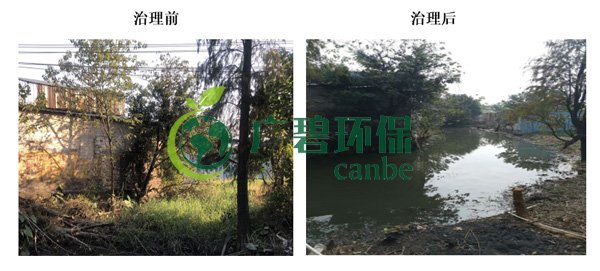 廣碧環保金陡湧河湧黑臭水體 治理服務項目順利通過驗收(圖5)
