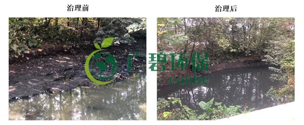 廣碧環保金（jīn）陡湧河湧黑臭水體 治理服務項目順利通過驗收(圖6)