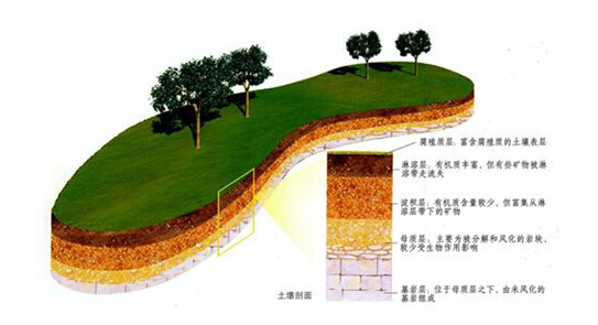 土壤這層地球（qiú）的皮膚有多厚？(圖（tú）1)