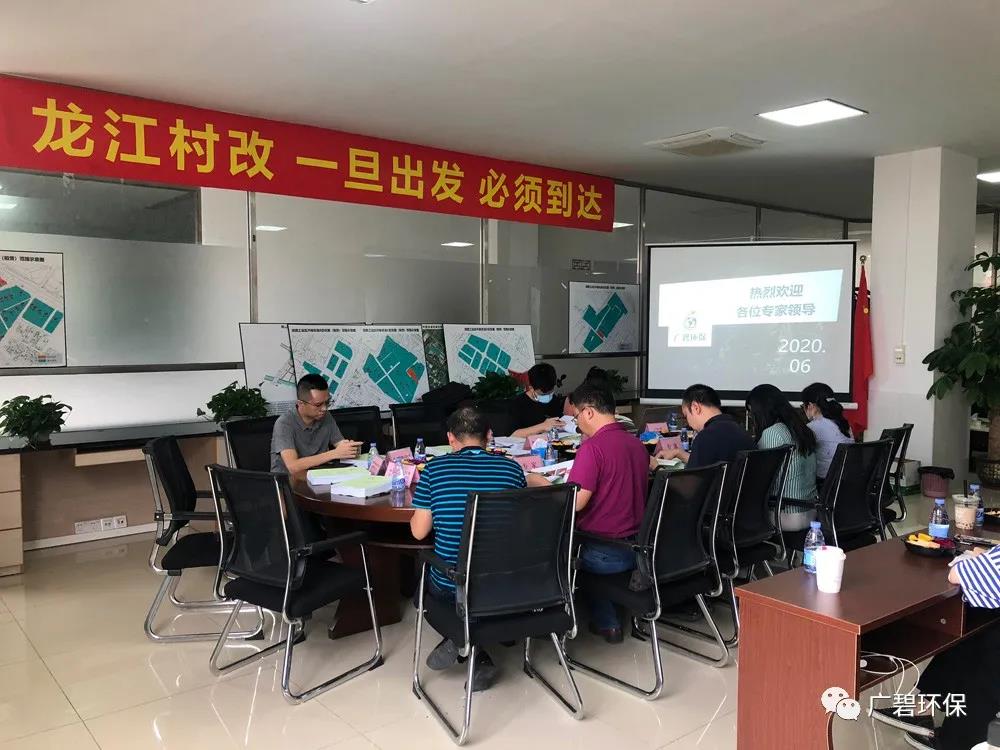 廣碧環（huán）保《龍江鎮坦西工業區地塊土壤汙（wū）染狀況調查報告》通過評審(圖1)