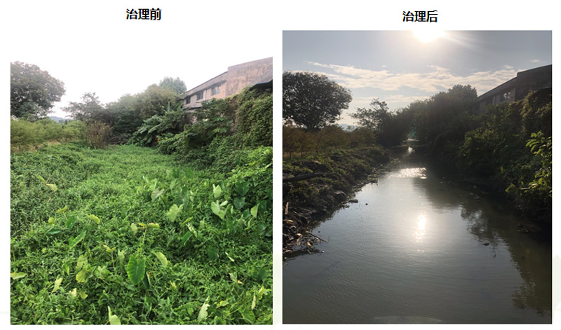 金陡湧水（shuǐ）係黑臭水體綜合治理（lǐ）工程(圖1)