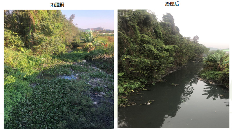 金陡湧水係黑臭水體綜合治（zhì）理工程(圖2)
