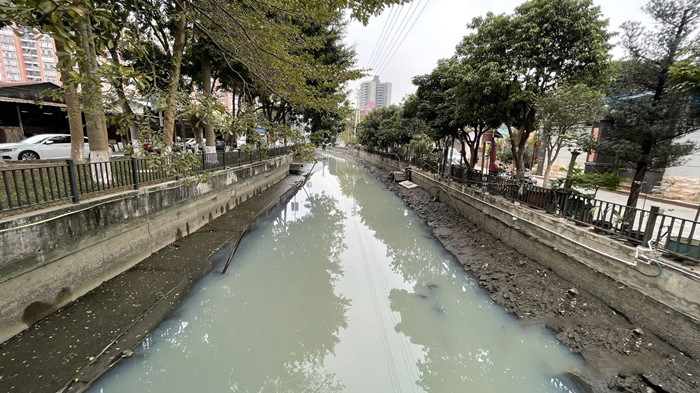 順德（dé）大良石洛湧、八坊湧（yǒng）整治見成效(圖3)