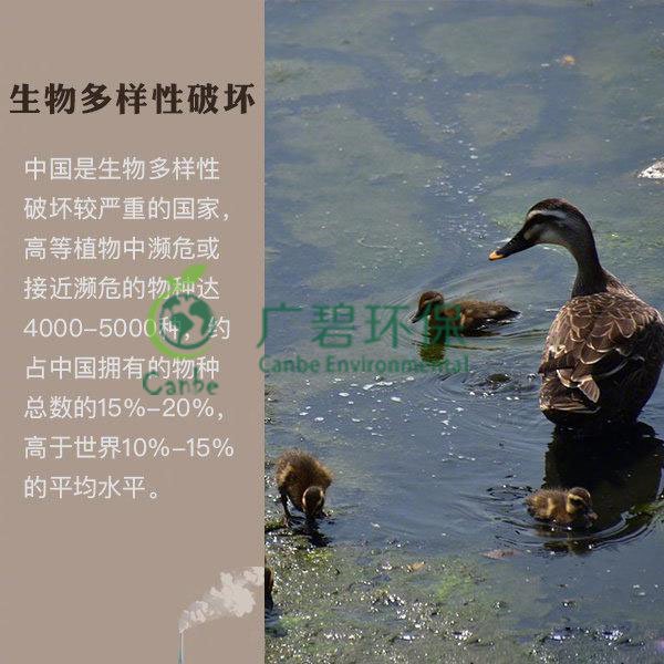 世界地球日 色多多视频能為地球做些(xiē)什(shí)麽?(圖6) 世界地球(qiú)日 色多多视频能為地球做些什麽?(圖6)