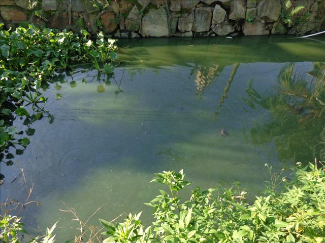 城市河道汙染原因及治理(lǐ)措(cuò)施