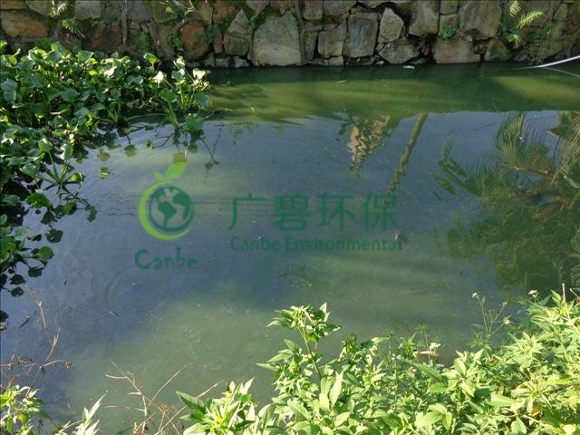 城市河道汙染原因及治理措(cuò)施 (圖3) 城市河道汙染原因及治理措施 (圖3)