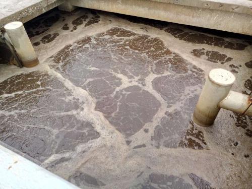 什麽是製革廢水?製革廢(fèi)水特點與處理工藝(圖1) 什麽是製革廢(fèi)水?製革(gé)廢水特點與處理工藝(圖1)