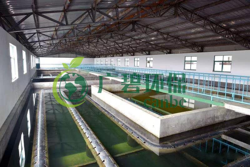 什麽是製糖(táng)廢水?製糖廢水處理技術(圖1) 什麽是(shì)製糖廢(fèi)水(shuǐ)?製糖廢水處理技術(shù)(圖1)