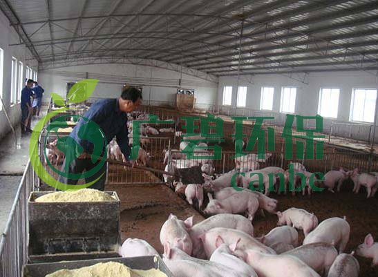 什麽是養殖廢水(shuǐ)?養殖廢水處理工藝(圖1) 什(shí)麽是養殖廢水?養殖(zhí)廢水處理工藝(圖1)