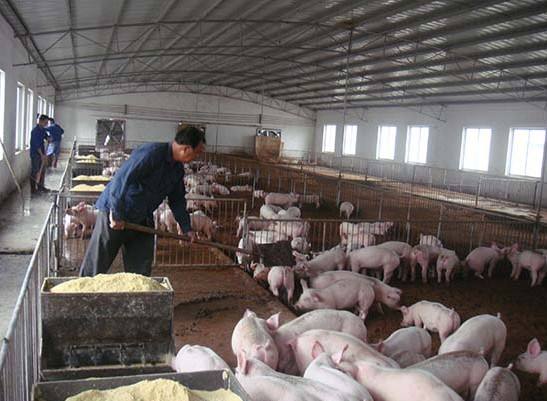 什麽是養殖廢水?養殖廢水處(chù)理工藝