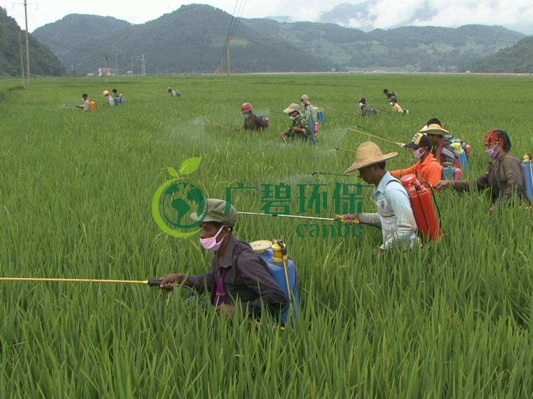 農藥廢水是什麽?農藥(yào)廢水特(tè)點與處理工藝(圖(tú)1) 農藥廢水是什麽?農藥廢水特點與處理工藝(圖1)