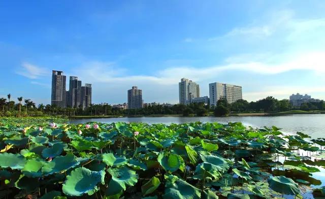 佛山市各區鎮空氣質量與水環境質量排(pái)名2019年1-5月