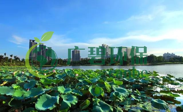 佛山市各區鎮空氣質量與水環境質量排名2019年(nián)1-5月(圖1) 佛山(shān)市各區鎮空氣質量與水(shuǐ)環境質量排(pái)名2019年1-5月(圖1)