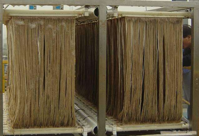 MBR汙泥膨脹怎(zěn)麽處理?汙泥膨脹的處理方法