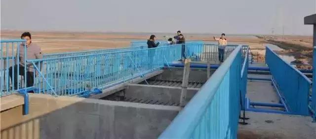 屠(tú)宰廢水怎麽處理?屠宰廢水處理工藝介紹