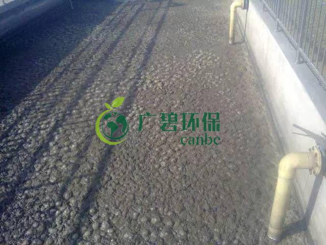 汙泥發黑是什麽(me)原因造成?汙泥發(fā)黑經驗分享(圖1) 汙泥發黑是什麽(me)原因造成?汙泥發黑經驗分享(圖(tú)1)