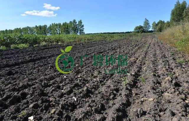 土壤重金屬環境(jìng)汙染與治(zhì)理措施(shī)(圖2) 土壤重金屬環境汙染與治理措施(圖2)