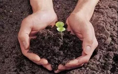 土壤修複開始前要做好這三點