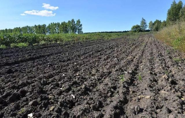 2016年來(lái)土壤汙染防治(zhì)專項資(zī)金累計下達280億