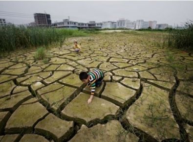 【世界土壤日】《土壤汙染防治法》有哪些(xiē)亮點?