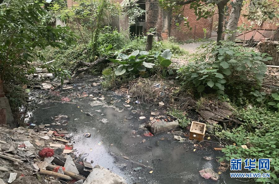 城市河道生(shēng)態治理與景觀提升策略 —“複式藍線管理”