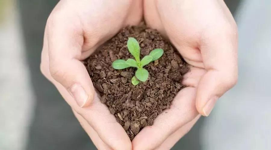 關於土壤汙染修複,你了解(jiě)多少?