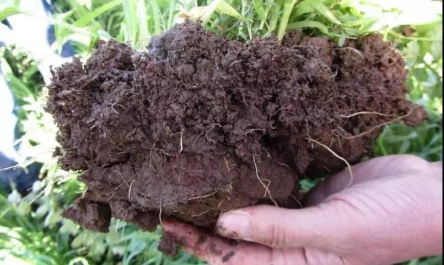 土壤(rǎng)侵(qīn)蝕是什麽?什麽導致了土壤侵蝕?