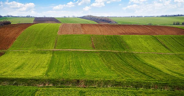 廣東出台環評改革指導意見不影響(xiǎng)環境項目不(bú)再納入環評管理