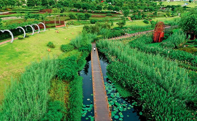 部分黑臭水(shuǐ)體出現反彈,治理(lǐ)難在哪兒?